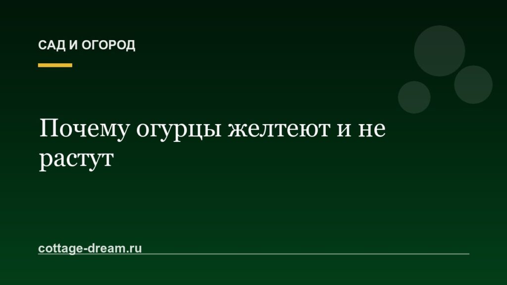 Почему огурцы желтеют и не растут