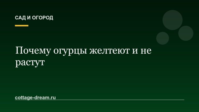 Почему огурцы желтеют и не растут