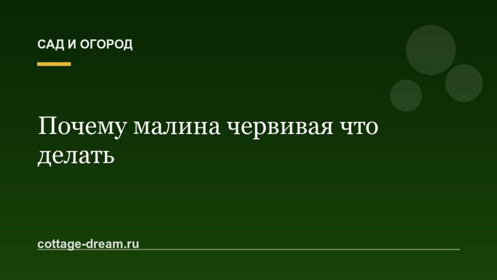 Почему малина червивая что делать