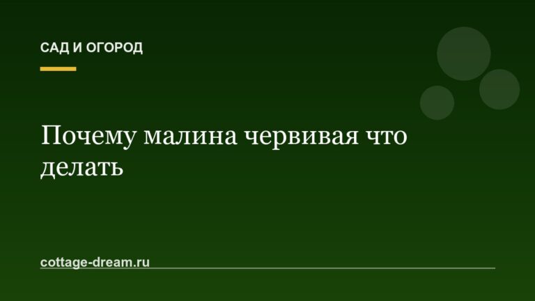Почему малина червивая что делать