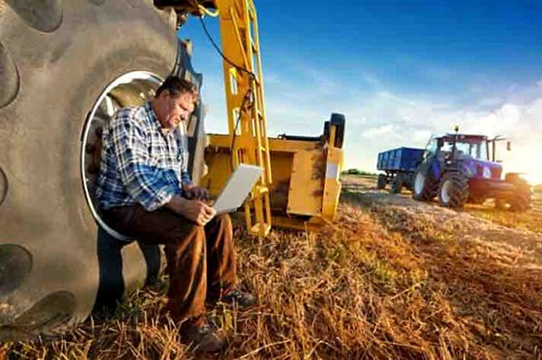 Как развить сельское хозяйство с нуля