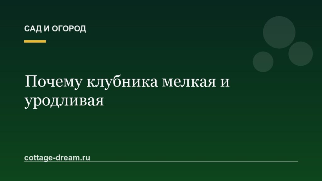 Почему клубника мелкая и уродливая