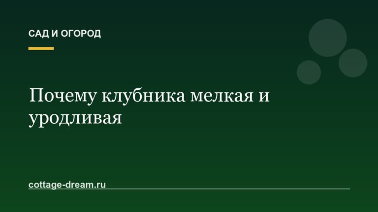 Почему клубника мелкая и уродливая