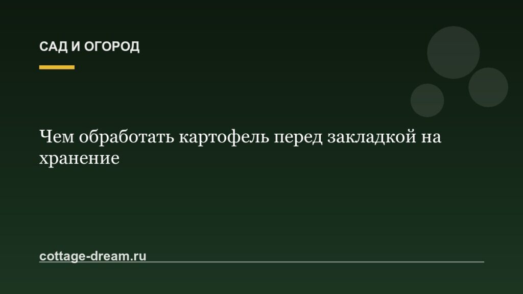 Чем обработать картофель перед закладкой на хранение