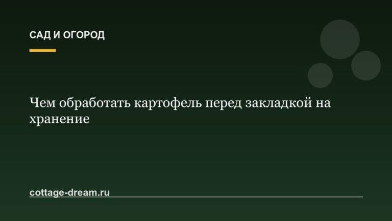 Чем обработать картофель перед закладкой на хранение