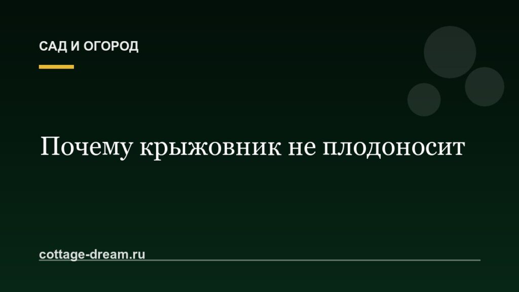 Почему крыжовник не плодоносит