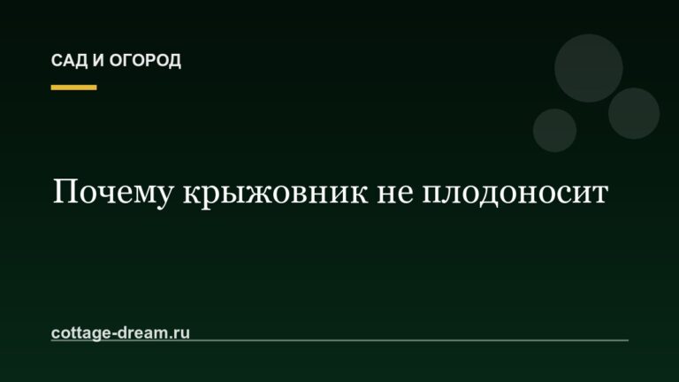 Почему крыжовник не плодоносит