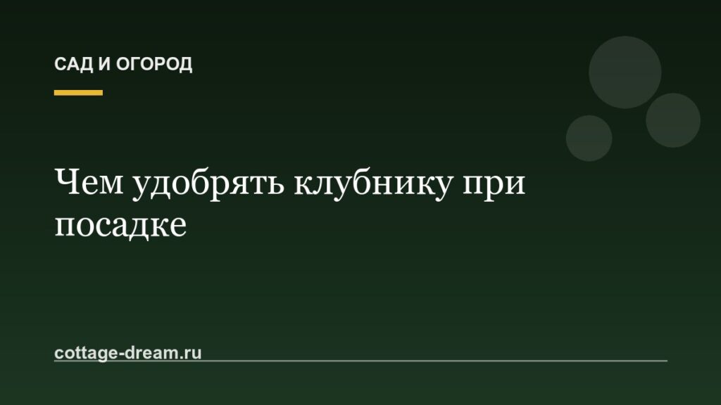 Чем удобрять клубнику при посадке