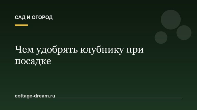 Чем удобрять клубнику при посадке