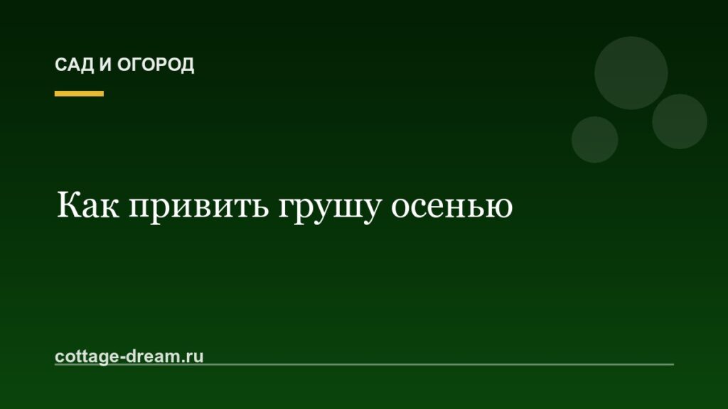 Как привить грушу осенью