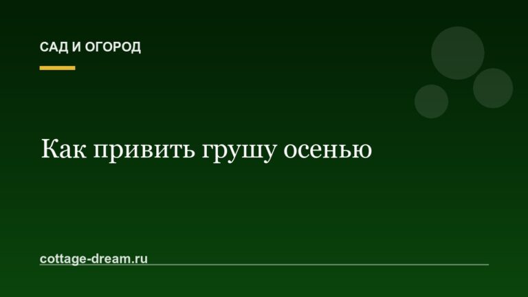 Как привить грушу осенью