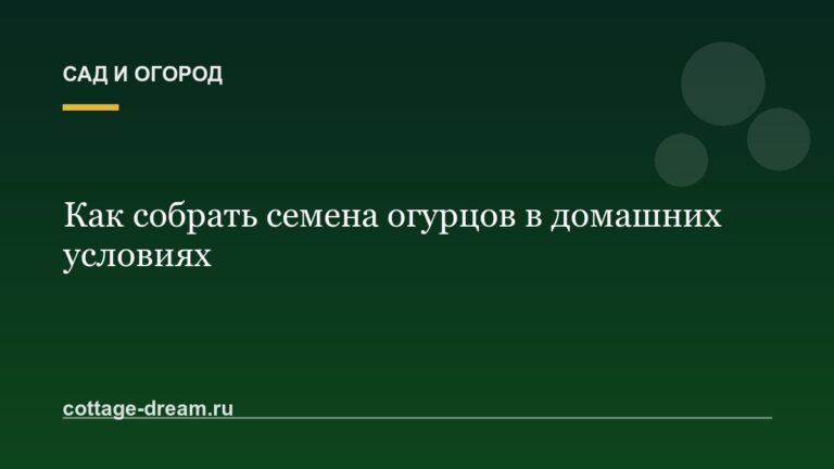Как собрать семена огурцов в домашних условиях