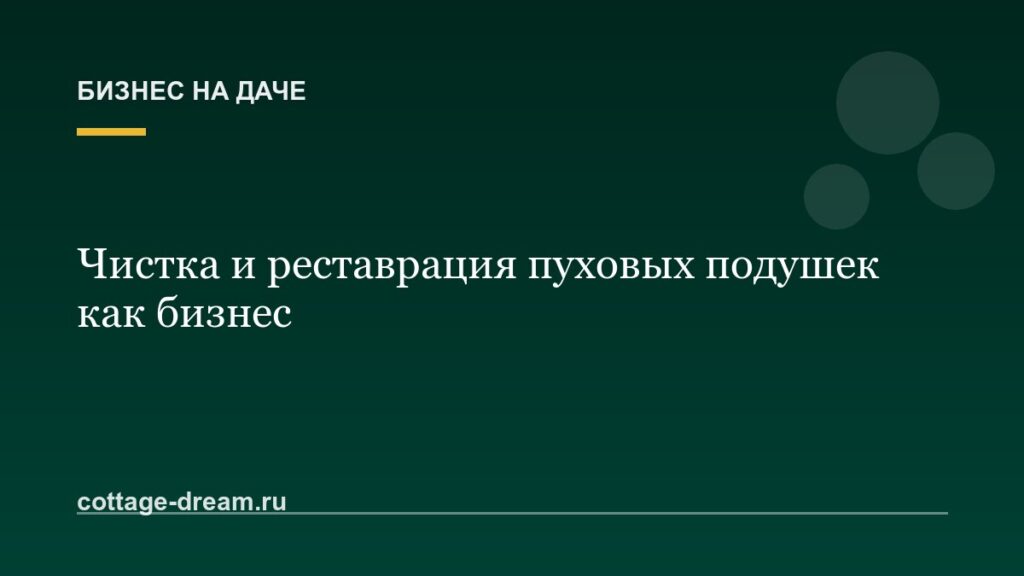 Чистка и реставрация пуховых подушек как бизнес