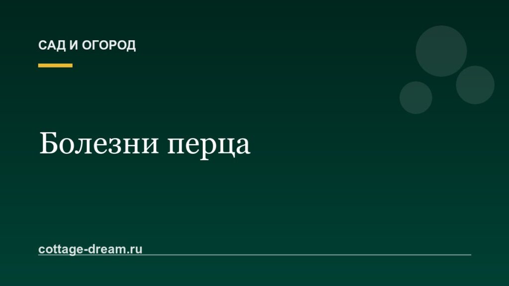 Болезни перца: фото, признаки и лечение