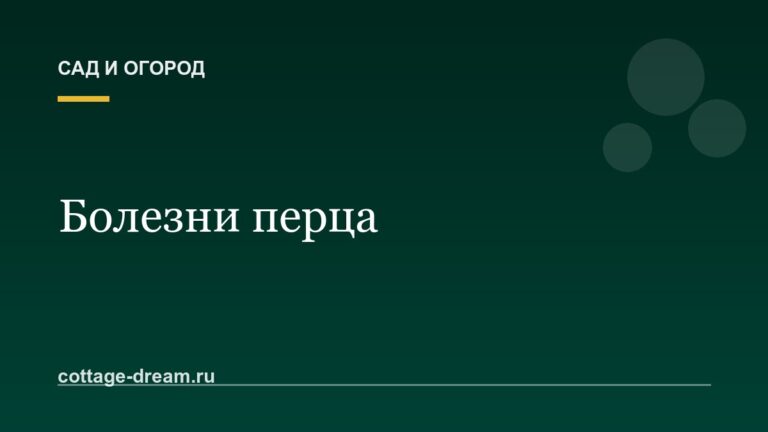 Болезни перца: фото, признаки и лечение