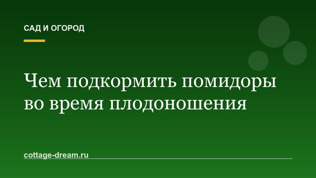 Чем подкормить помидоры во время плодоношения: схема подкормок, дозировки, сроки