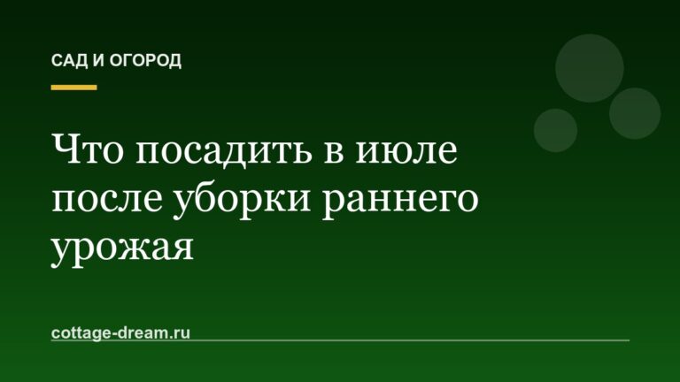 Что посадить в июле после уборки раннего урожая: повторные посевы и сидераты