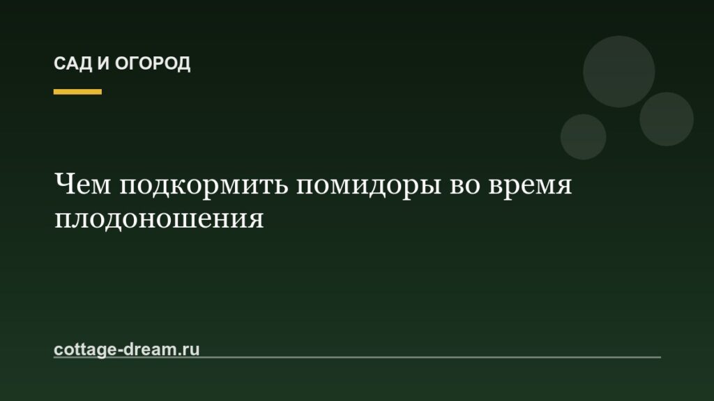 Чем подкормить помидоры во время плодоношения: схема подкормок, дозировки, сроки