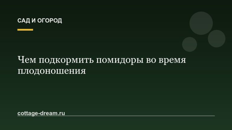 Чем подкормить помидоры во время плодоношения: схема подкормок, дозировки, сроки