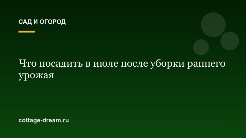 Что посадить в июле после уборки раннего урожая: повторные посевы и сидераты