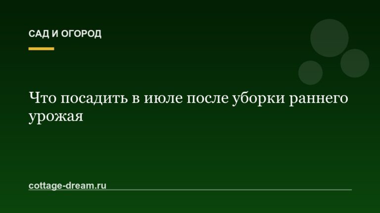 Что посадить в июле после уборки раннего урожая: повторные посевы и сидераты