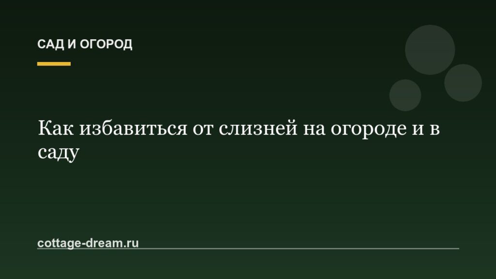 Как избавиться от слизней на огороде и в саду: рабочие методы