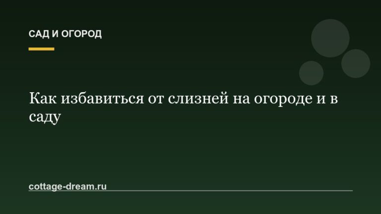 Как избавиться от слизней на огороде и в саду: рабочие методы