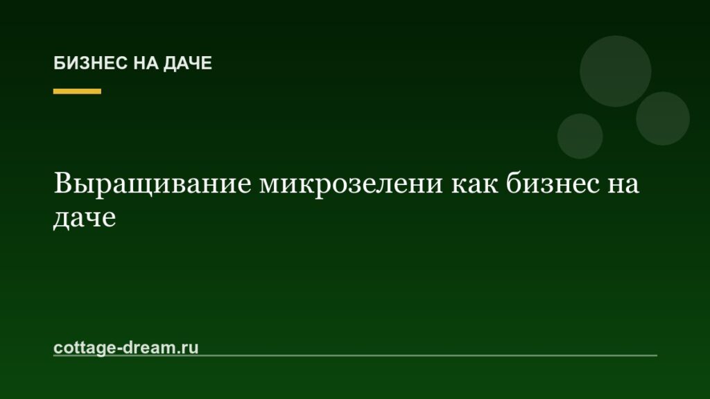 Выращивание микрозелени как бизнес на даче: расчёты, сорта и сбыт
