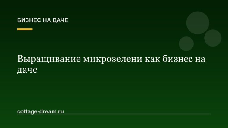 Выращивание микрозелени как бизнес на даче: расчёты, сорта и сбыт