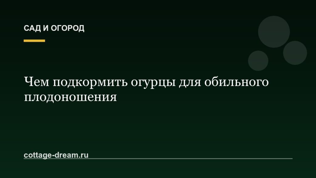 Чем подкормить огурцы для обильного плодоношения