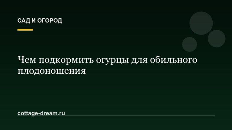 Чем подкормить огурцы для обильного плодоношения
