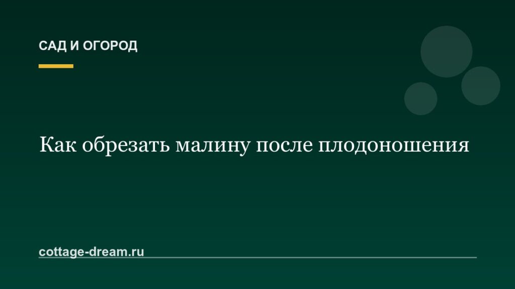 Как обрезать малину после плодоношения