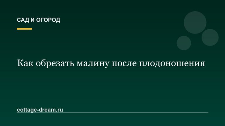 Как обрезать малину после плодоношения