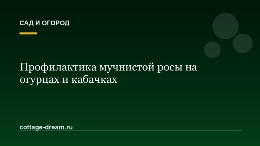 Профилактика мучнистой росы на огурцах и кабачках