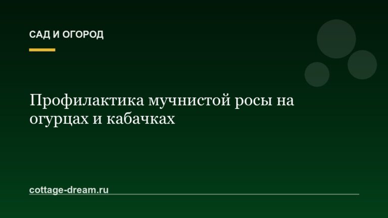 Профилактика мучнистой росы на огурцах и кабачках