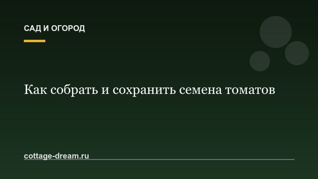 Как собрать и сохранить семена томатов