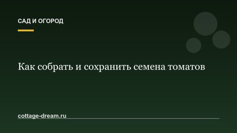 Как собрать и сохранить семена томатов