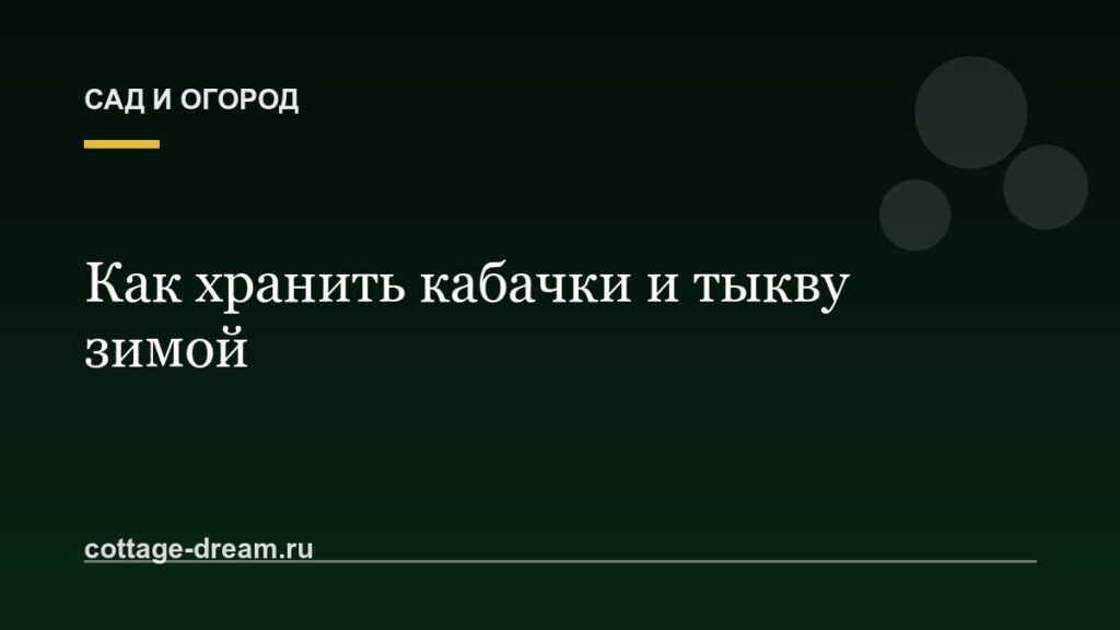 Как хранить кабачки и тыкву зимой