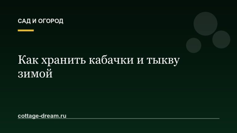 Как хранить кабачки и тыкву зимой