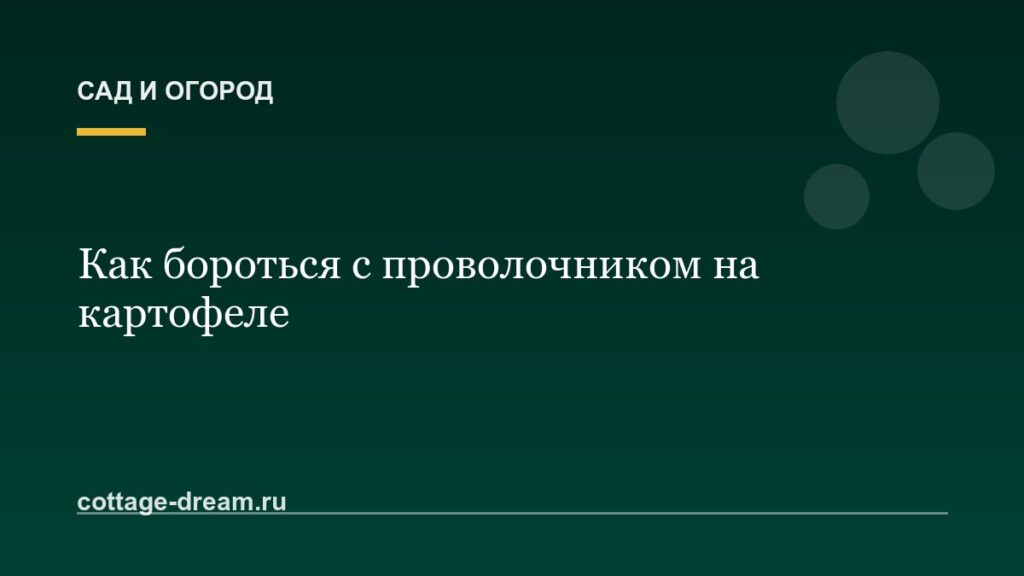Как бороться с проволочником на картофеле