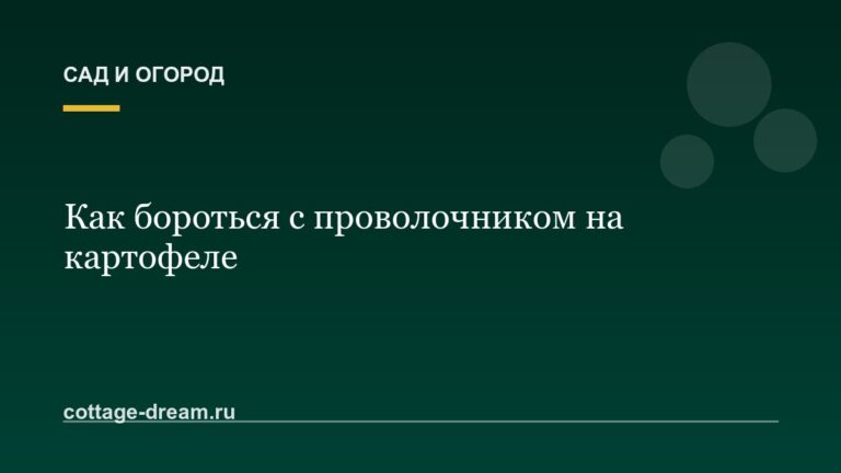 Как бороться с проволочником на картофеле