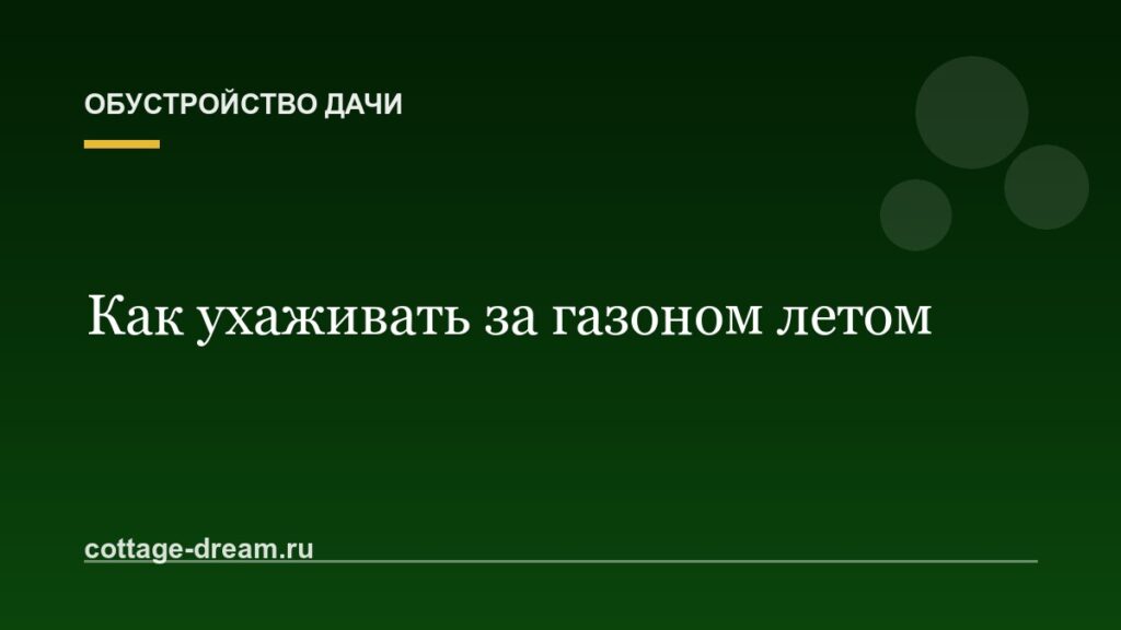 Как ухаживать за газоном летом: полив и стрижка