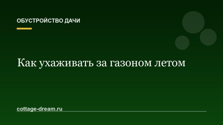 Как ухаживать за газоном летом: полив и стрижка