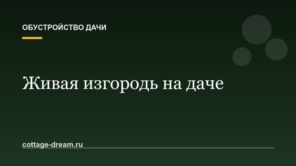 Живая изгородь на даче: какие растения выбрать