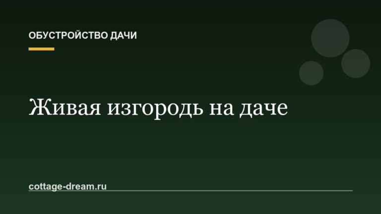Живая изгородь на даче: какие растения выбрать