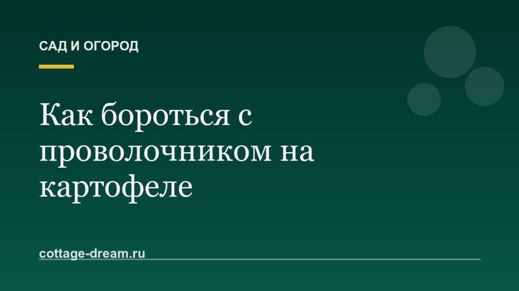 Как бороться с проволочником на картофеле