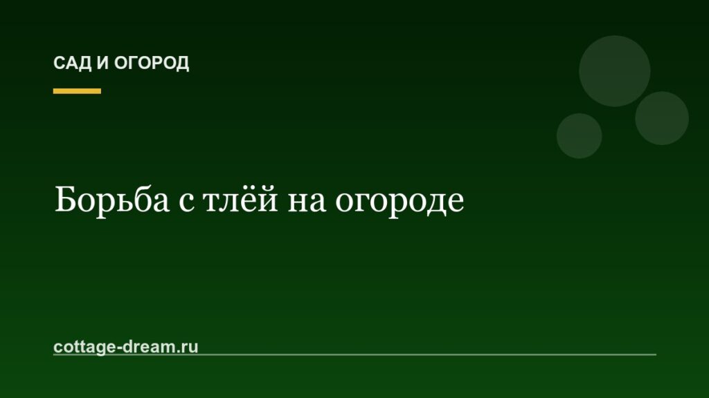 Как бороться с тлёй на огороде: проверенные способы