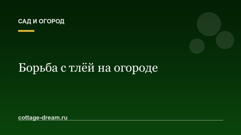 Как бороться с тлёй на огороде: проверенные способы