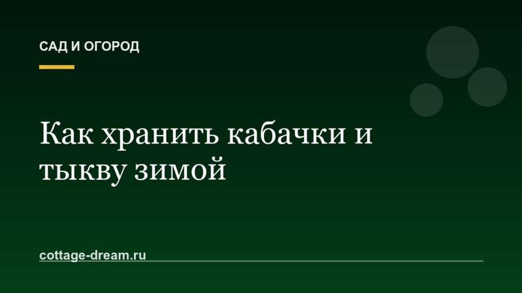 Как хранить кабачки и тыкву зимой
