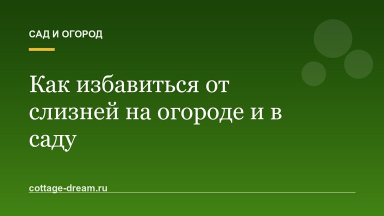 Как избавиться от слизней на огороде и в саду: рабочие методы